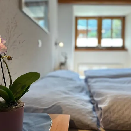 Lomatte 1758 Saas-Fee