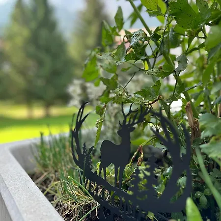 Lomatte 1758 Apartment *