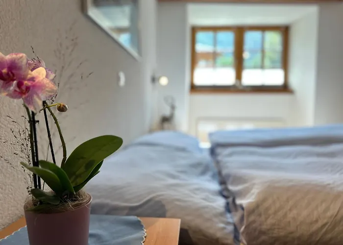 Lomatte 1758 萨斯费