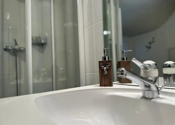 Lomatte 1758 * 萨斯费