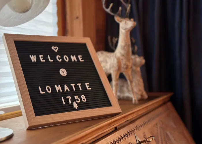 Lomatte 1758 公寓 萨斯费